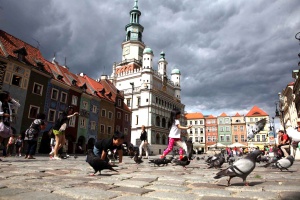 Site Expo Poznan-place-Stary-Rynek-michel-ogier